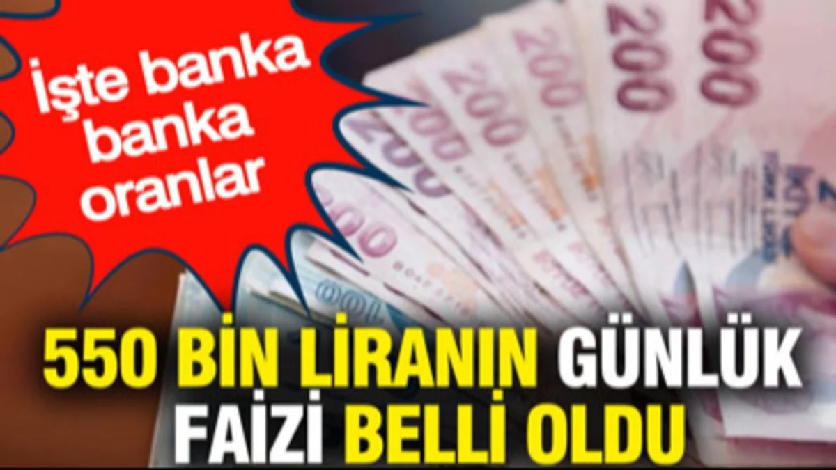 500 Bin TL’si Olan Yaşadı! En Yüksek Faizi Veren Bankalar Belli Oldu